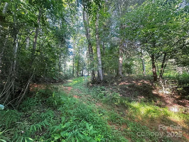 a view of outdoor space and trees