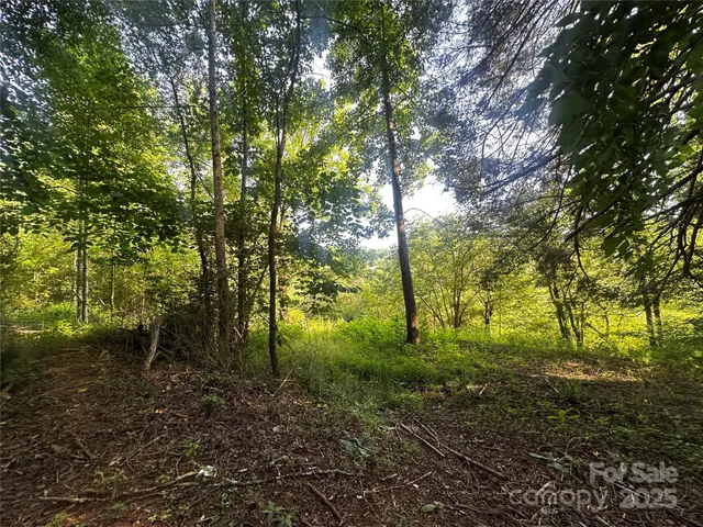 a view of outdoor space and garden