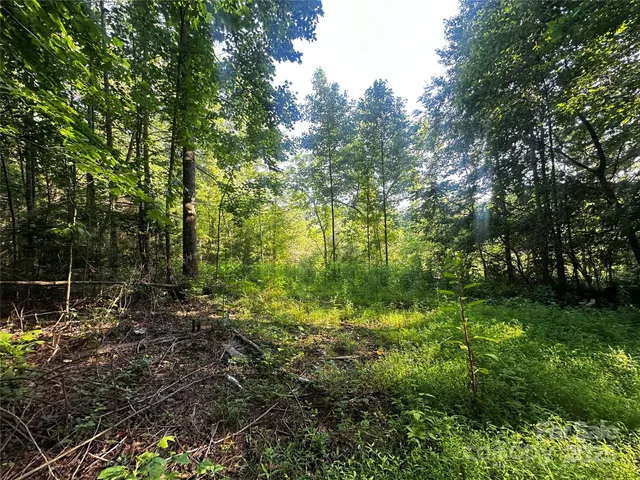 a view of a house with backyard and garden