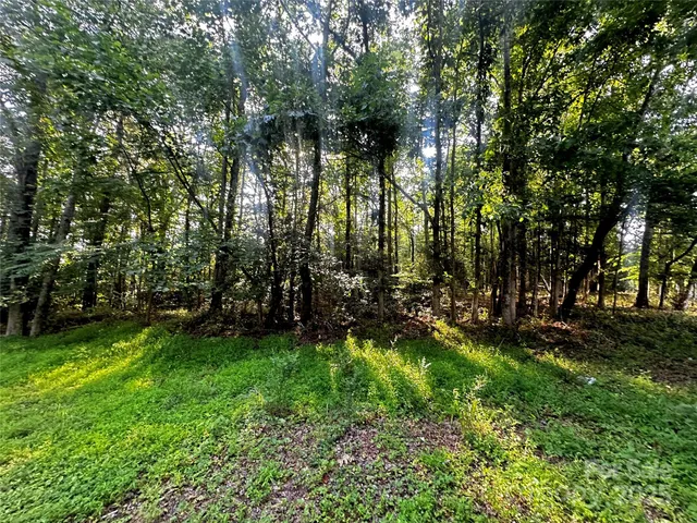 a view of yard with green space