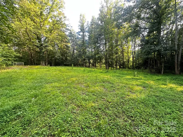 a view of garden with trees