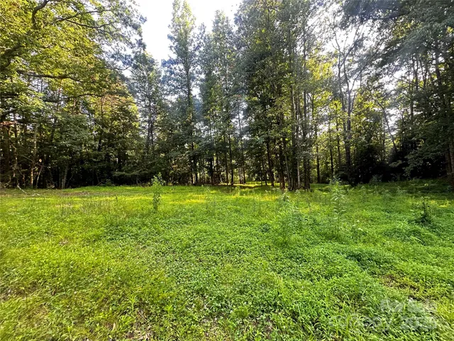 a green field with lots of trees in it