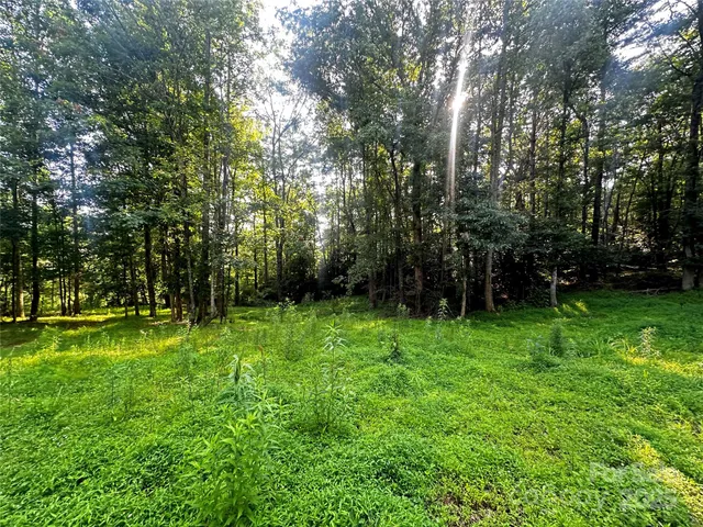 a view of a backyard with a garden