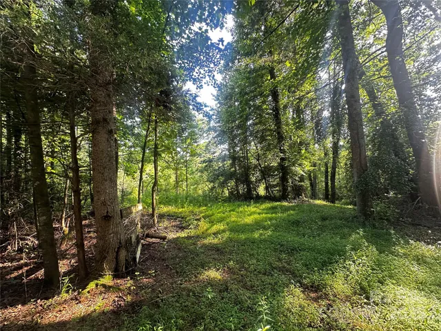 a view of outdoor space and yard