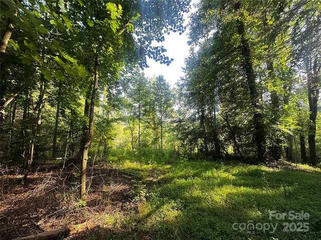 a big yard with lots of green space and house view