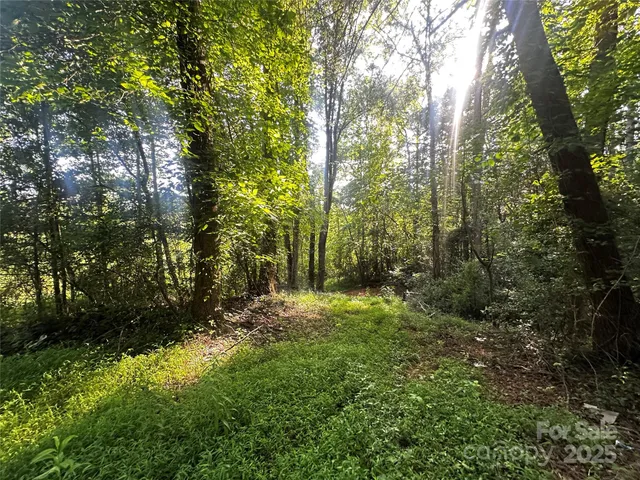 a view of outdoor space and trees