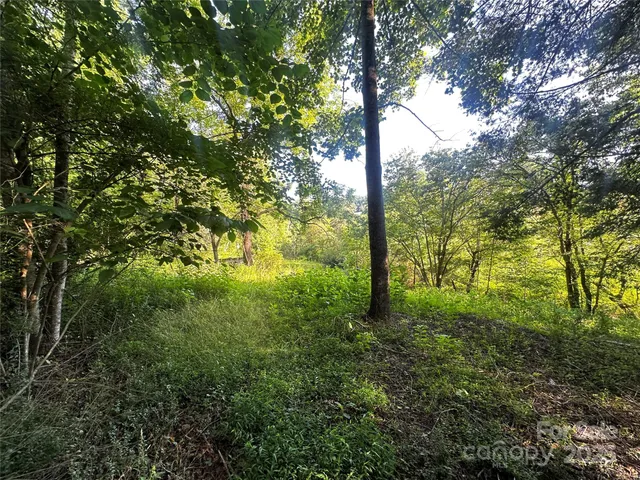 a view of outdoor space