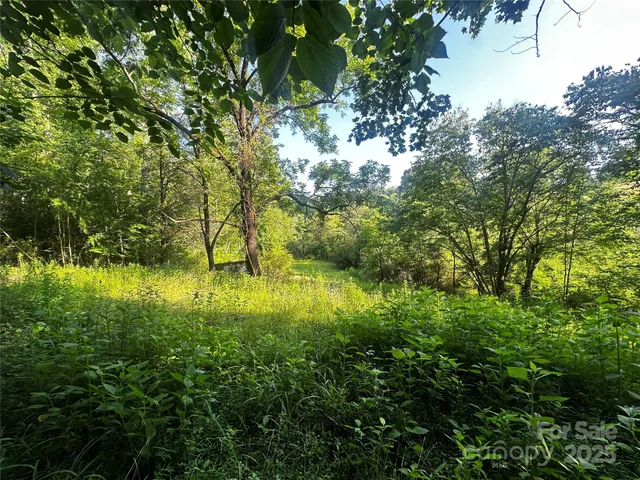 a view of a lake with lots of trees
