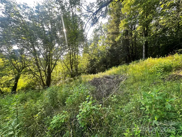 a view of backyard with green space