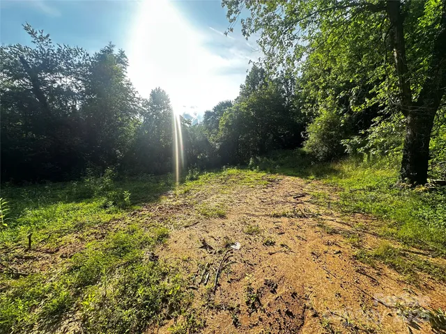 a view of a lush green forest with lots of trees