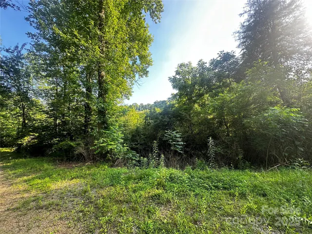 a view of a yard with large trees