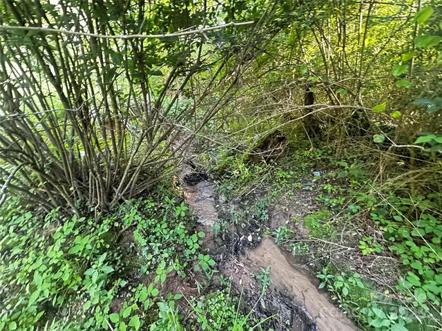 a view of yard with green space
