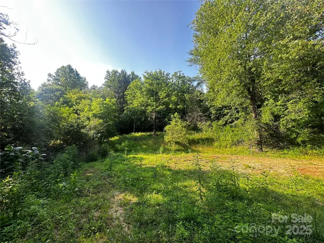 a view of a backyard with large trees