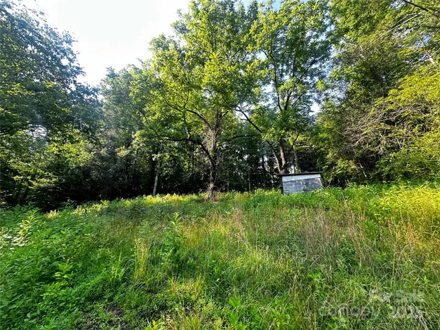 a view of swimming pool from a yard