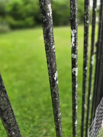 $3,200 | 12018 McKinney Falls Lane, Sugar Land, TX 77498