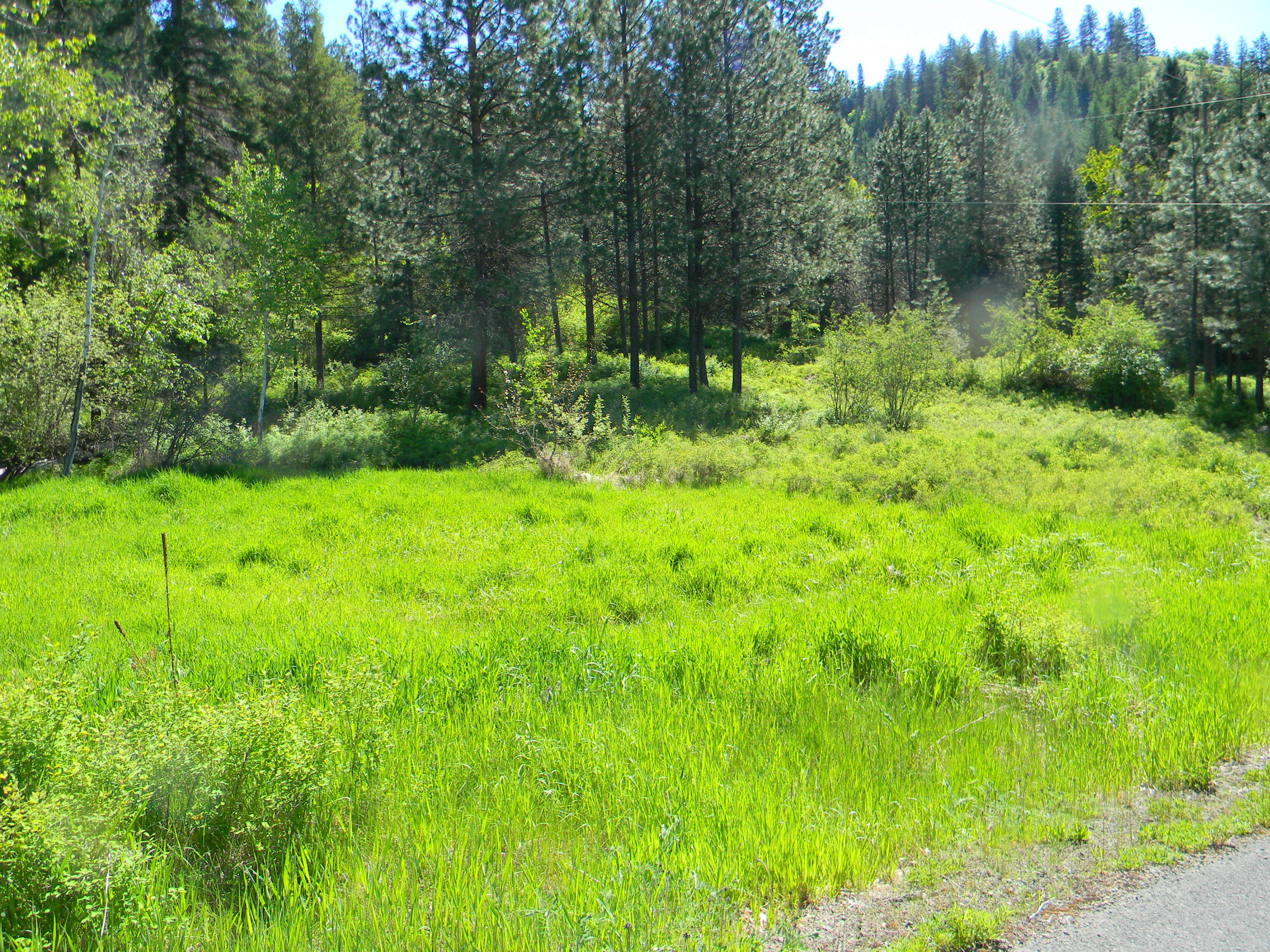 Nka Evergreen Terrace Road St. Maries, ID 83861 - Photo 1 of 1 DSCN6427