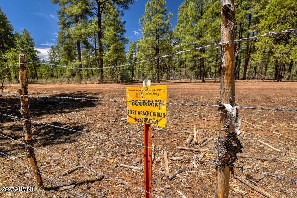 950 Cooper Lane Lakeside, AZ 85929 - Photo 34 of 37 33