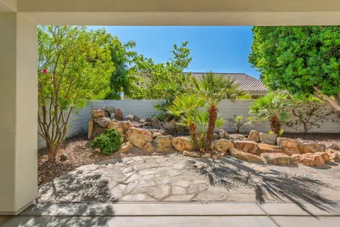 a view of a yard with plants