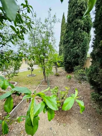 $1,198,000 | 1227 Letitia Court, San Jose, CA 95122