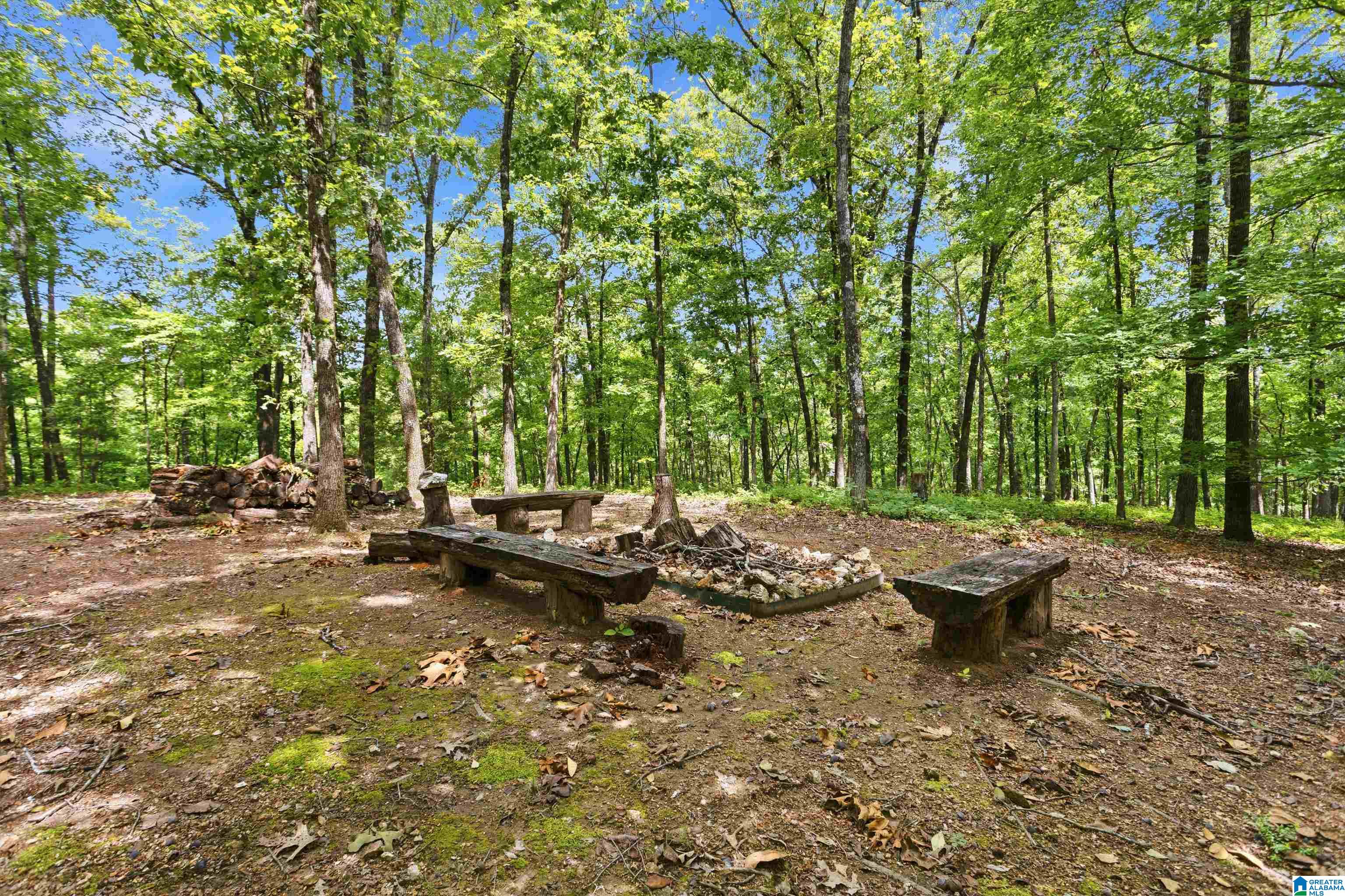 231 Country Ridge Road Montevallo, AL 35115 - Photo 46 of 60