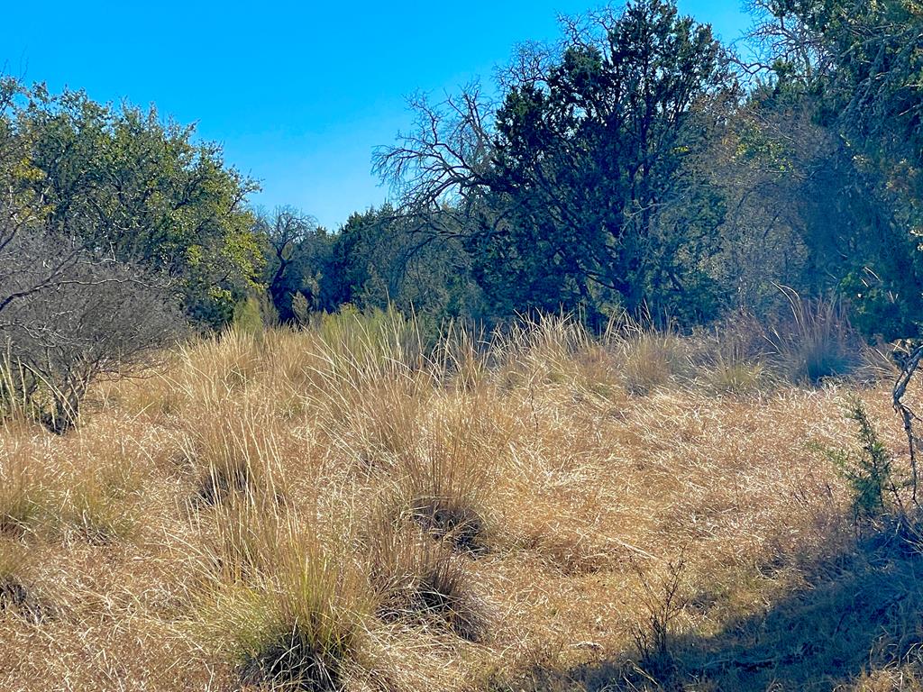 1476 Salt Branch Loop Doss, TX 78618 - Photo 19 of 20 Gallery Image 19