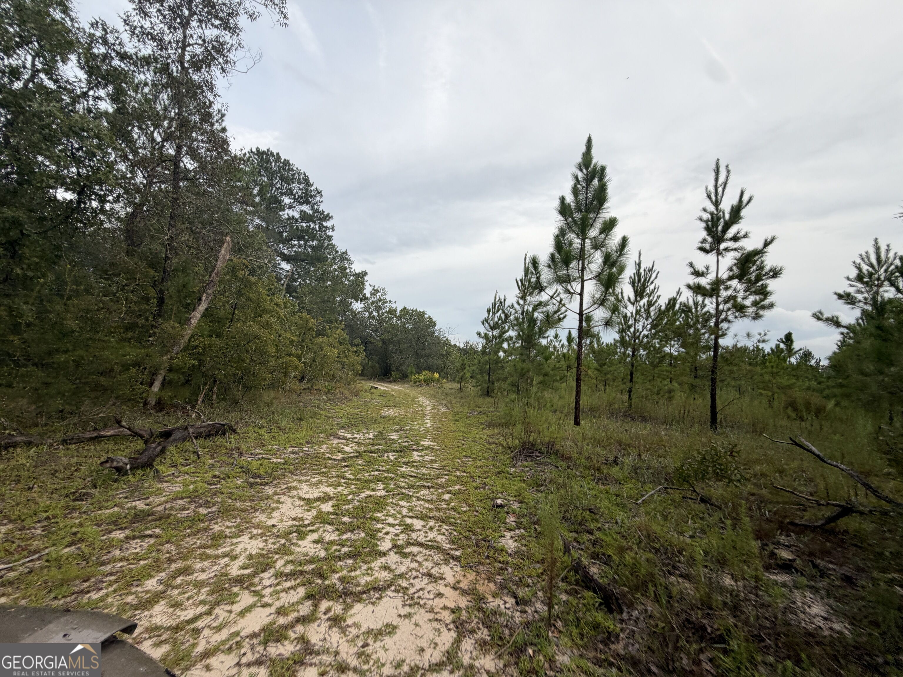 0 South River Road Millwood, GA 31503 - Photo 45 of 53 Gallery Image 45