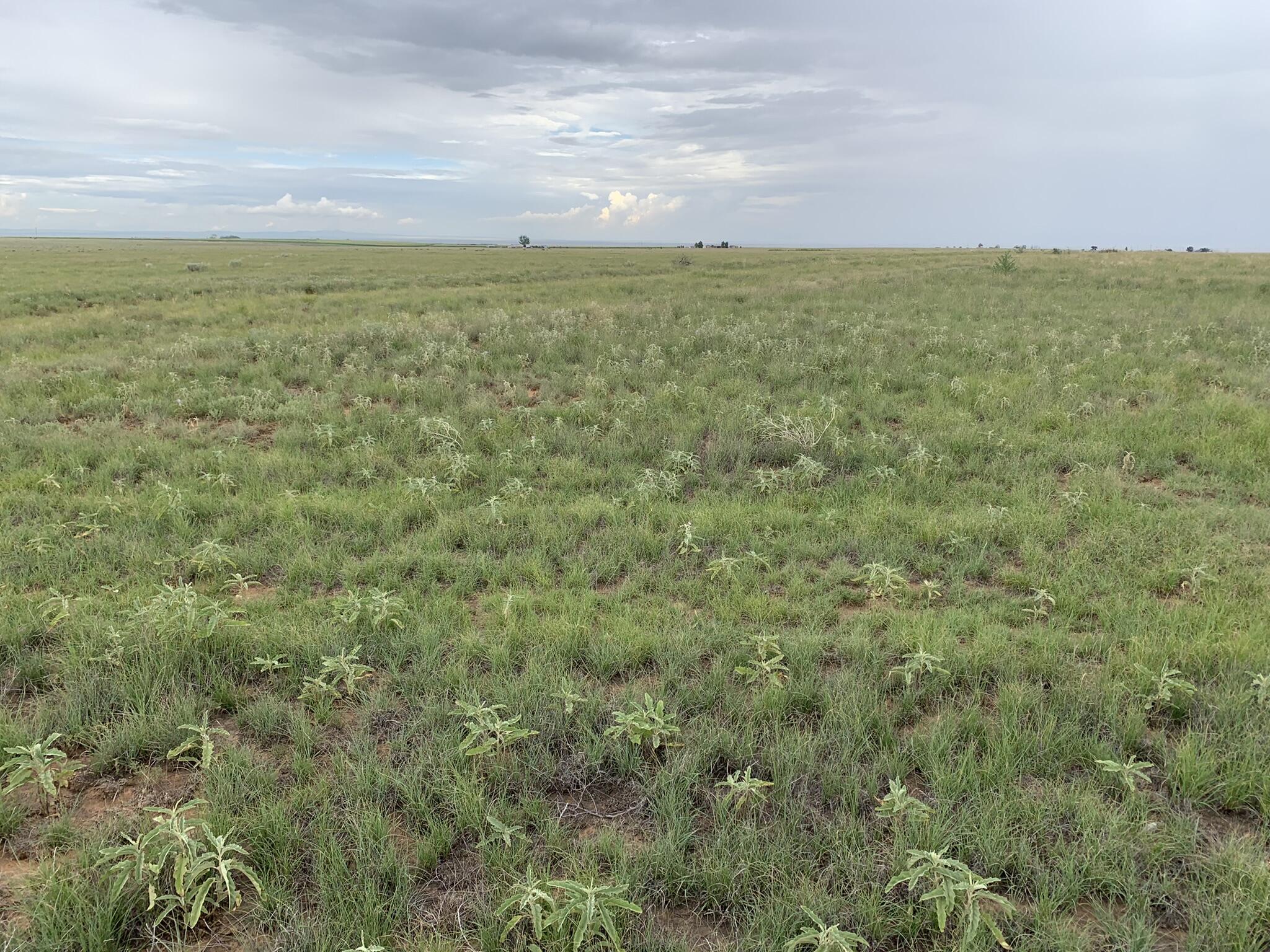 Bluegrass Road Estancia, NM 87016 - Photo 1 of 1 Gallery Image 1