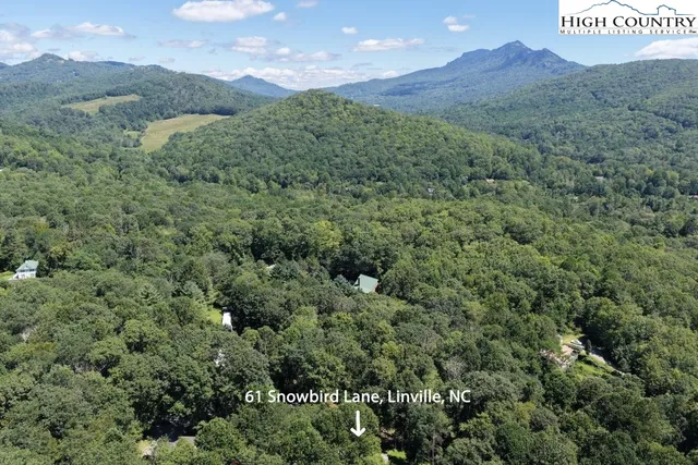 a view of a field with a mountain in the background