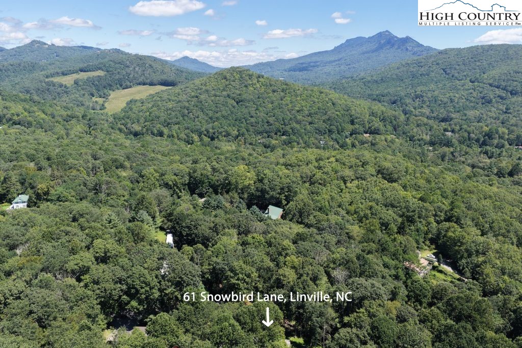 61 Snowbird Lane Linville, NC 28657 - Photo 18 of 19 a view of a field with a mountain in the background