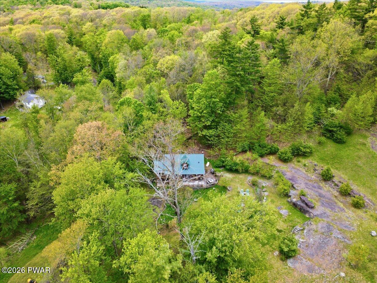 103 Forever Green Road Lakeville, PA 18438 - Photo 63 of 179