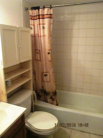 4809 West Engle Road, Unit 2B Alsip, IL 60803 - Photo 10 of 12 a bathroom with a toilet and a bath tub