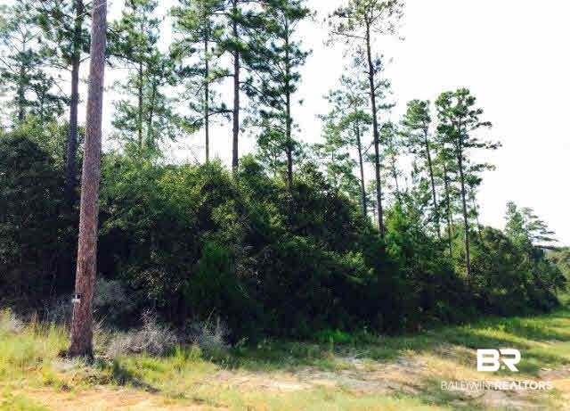 0 County Road 7 Range, AL 36473 - Photo 1 of 3