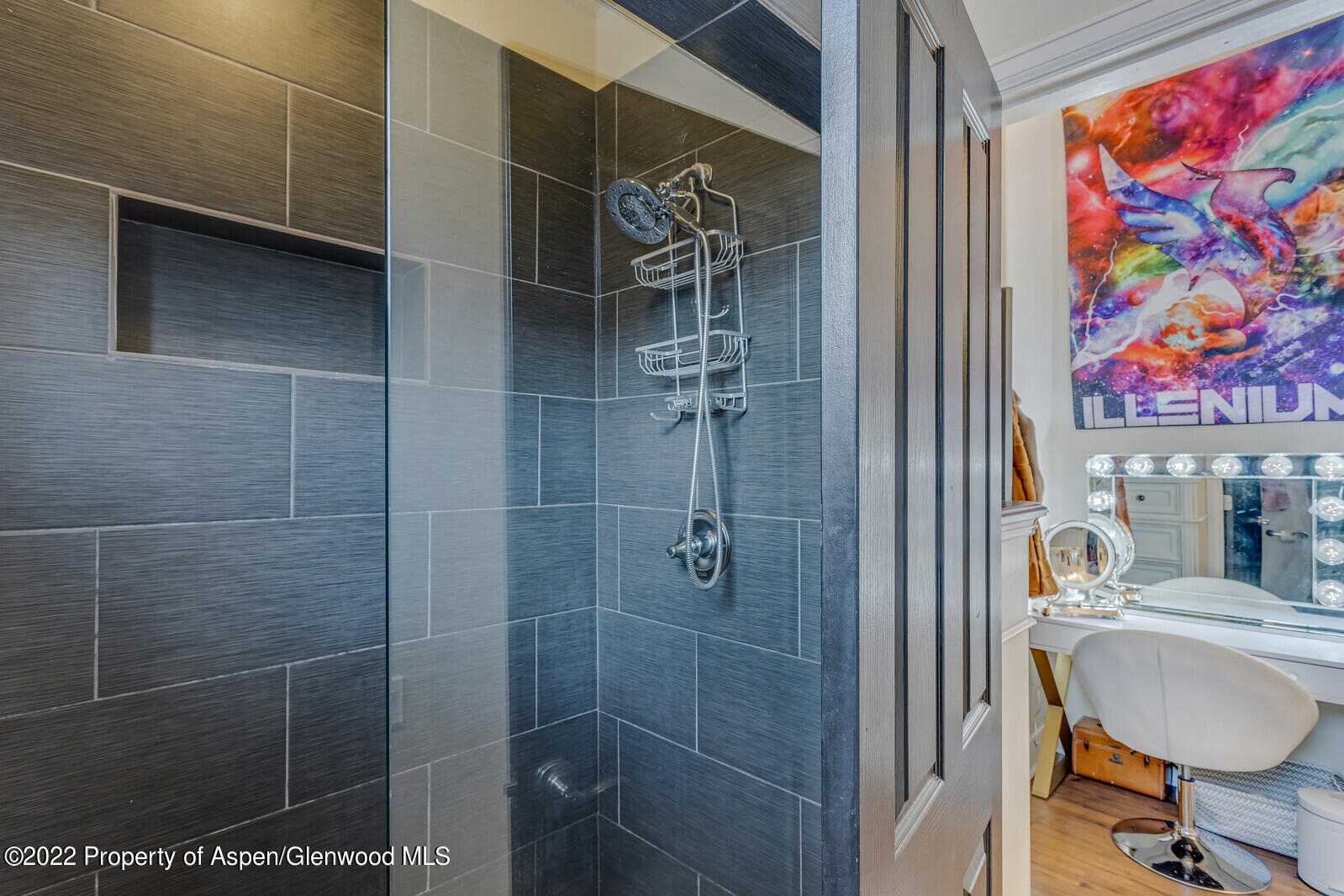 712 Evans Court Basalt, CO 81621 - Photo 26 of 29 a bathroom with a shower