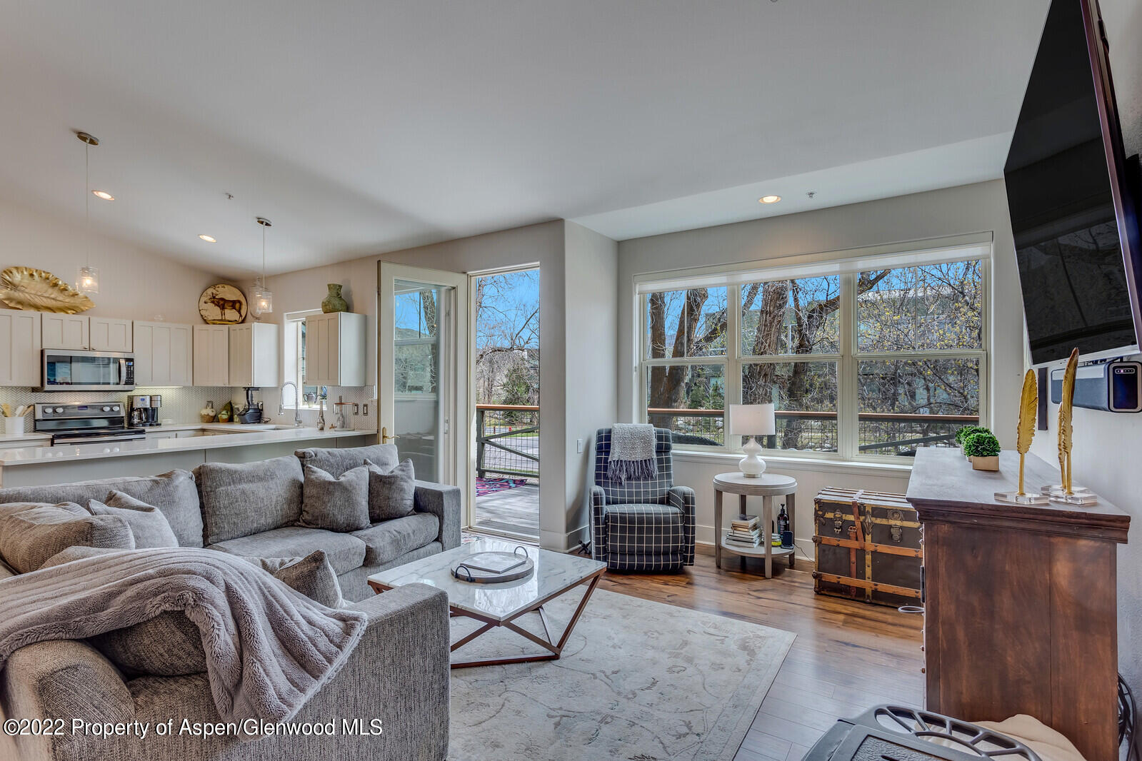 712 Evans Court Basalt, CO 81621 - Photo 7 of 29 a living room with furniture and a flat screen tv