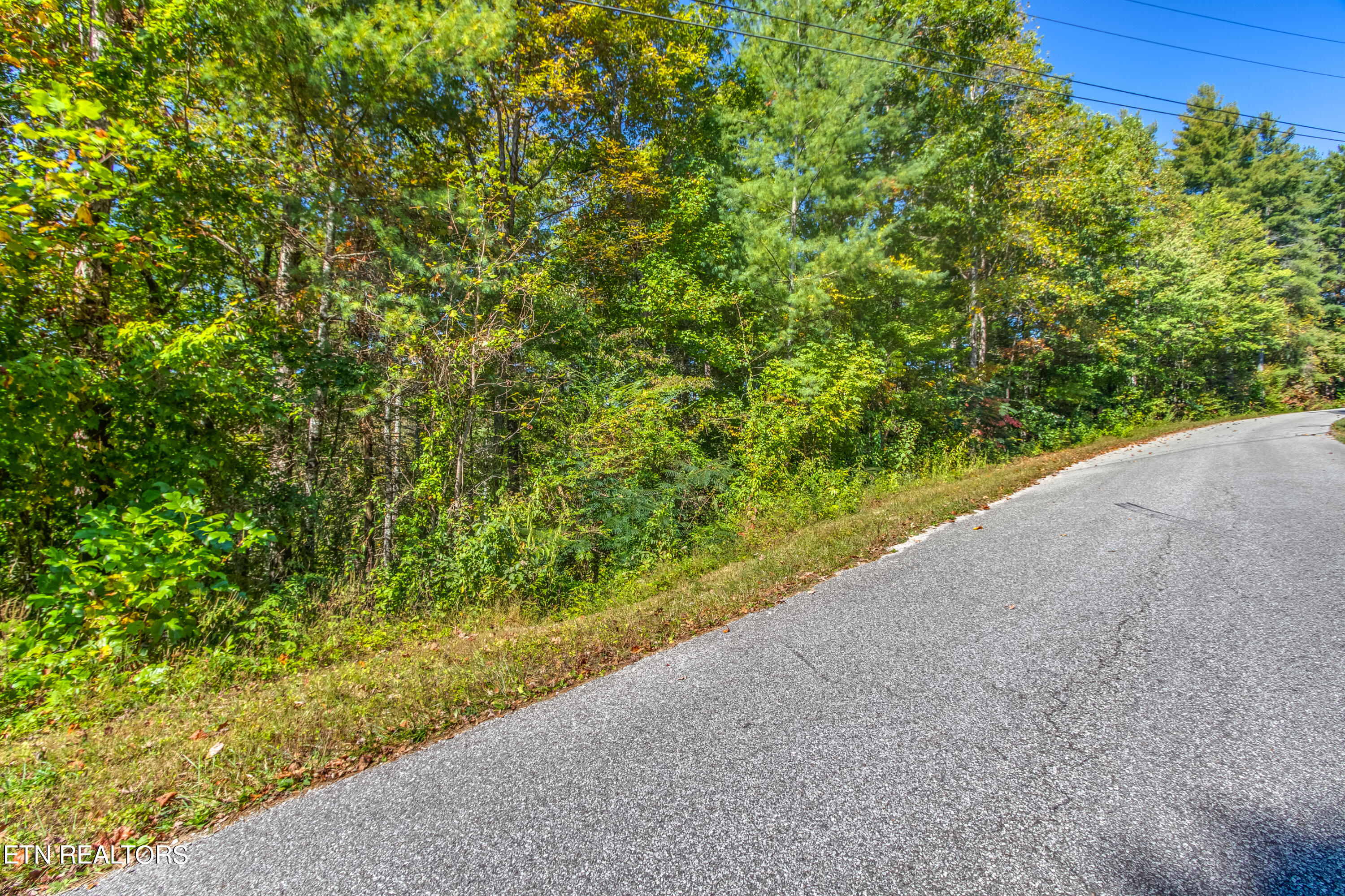 Balfour Road Harriman, TN 37748 - Photo 1 of 18 balfour 3 lots-100