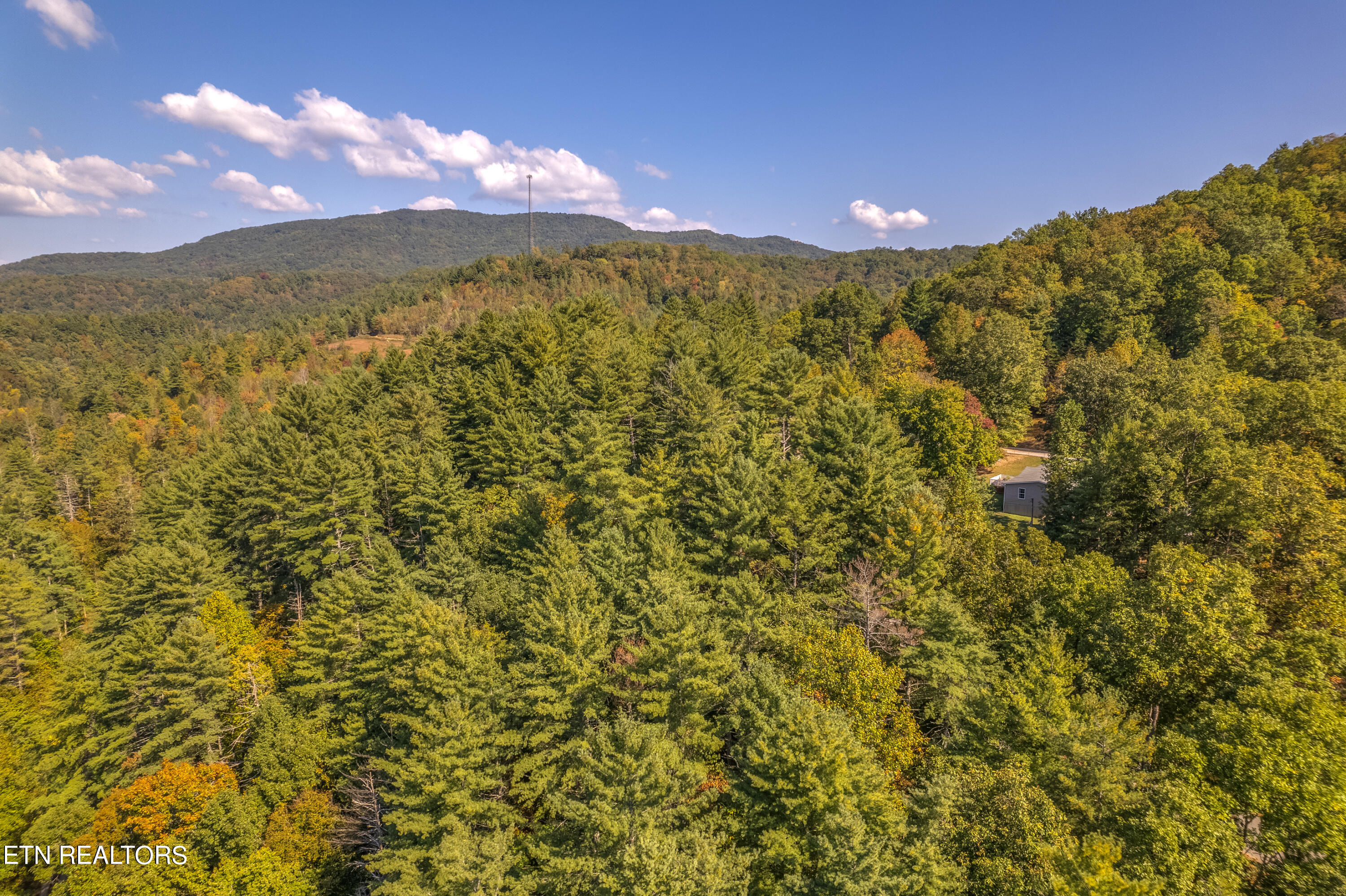 Balfour Road Harriman, TN 37748 - Photo 16 of 18 balfour 3 lots-115