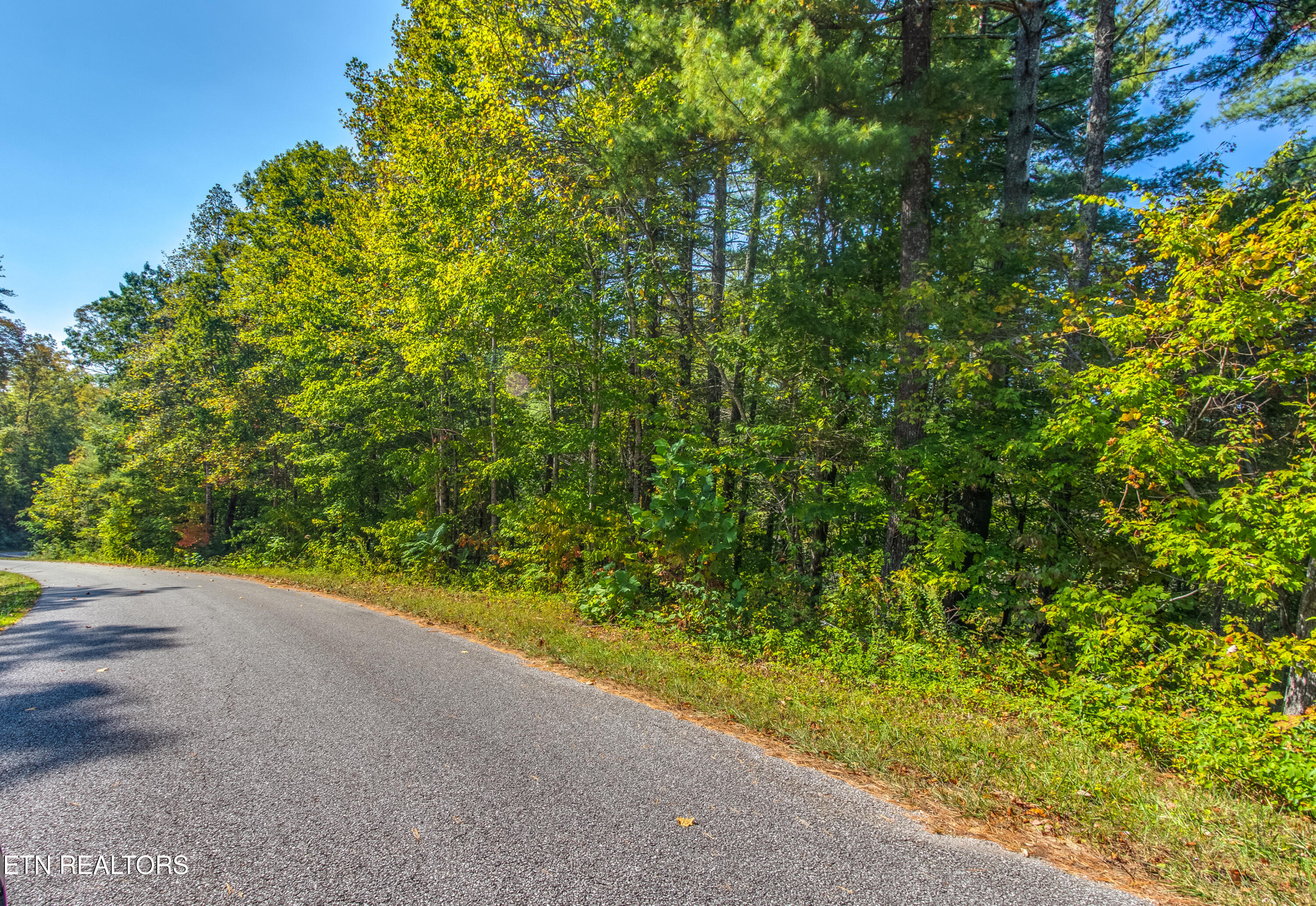 Balfour Road Harriman, TN 37748 - Photo 2 of 18 balfour 3 lots-101