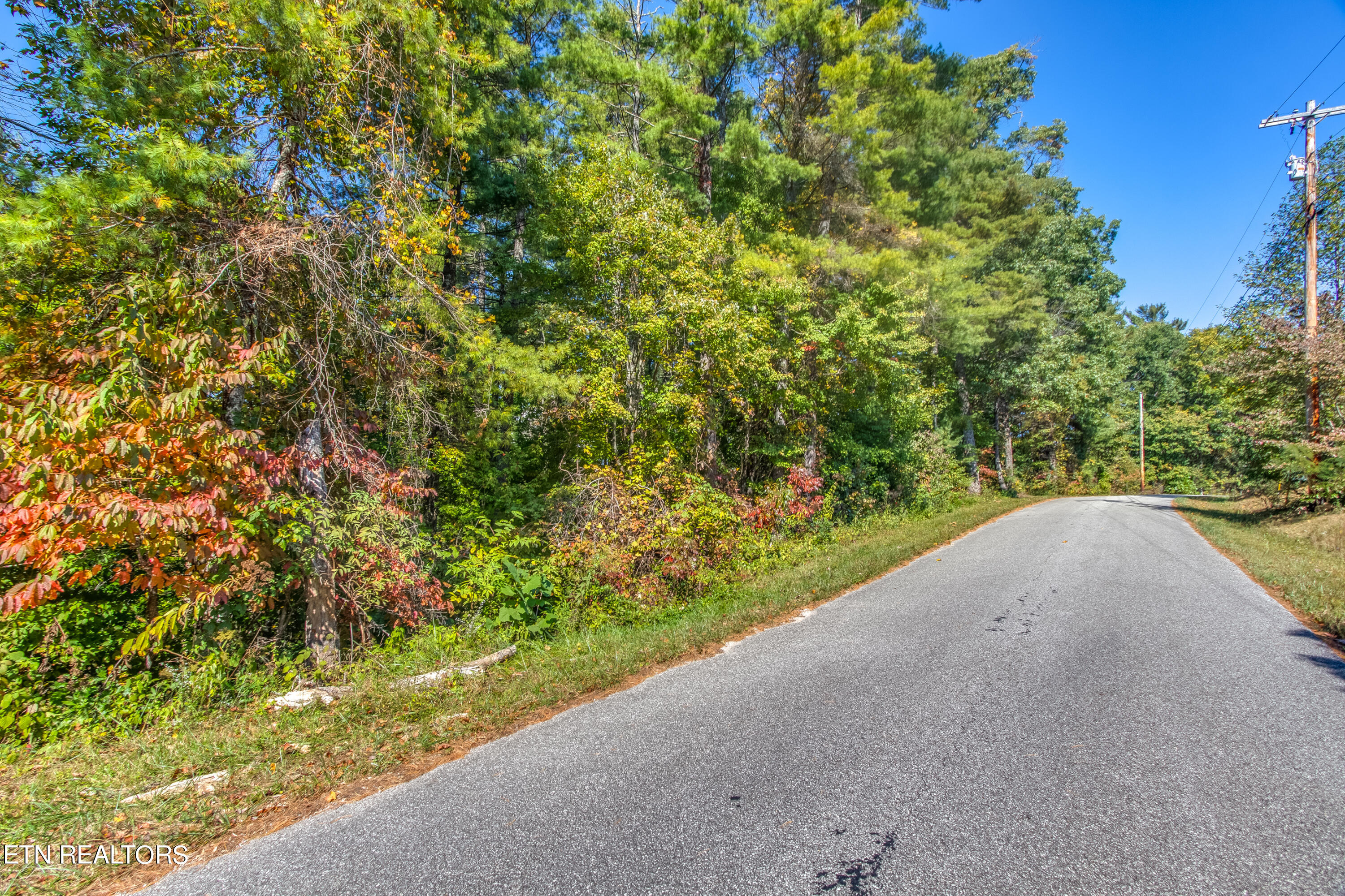 Balfour Road Harriman, TN 37748 - Photo 3 of 18 balfour 3 lots-102