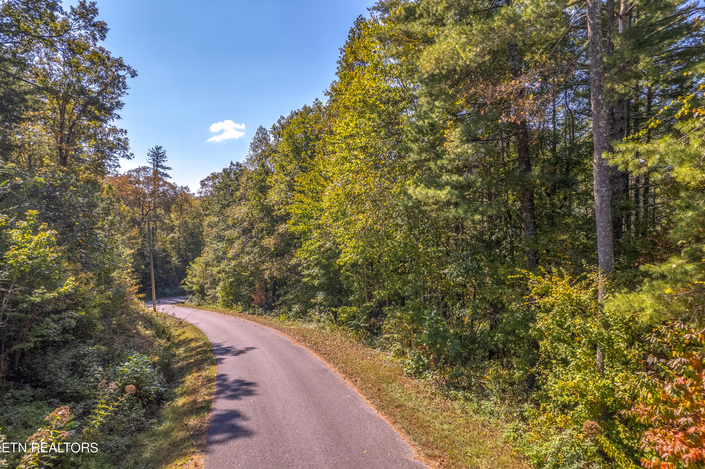 Balfour Road Harriman, TN 37748 - Photo 4 of 18 balfour 3 lots-103