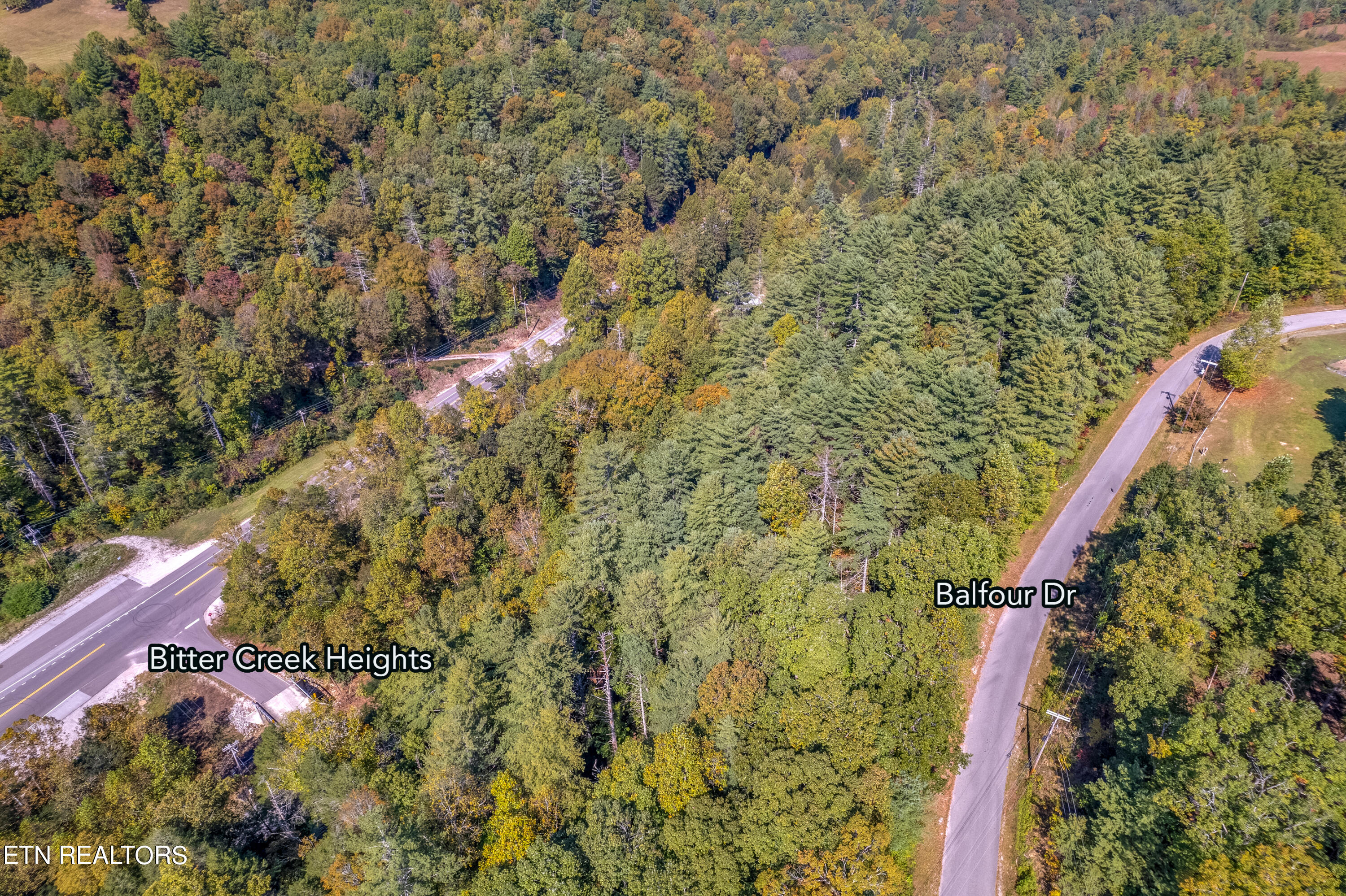 Balfour Road Harriman, TN 37748 - Photo 10 of 18 balfour 3 lots-109