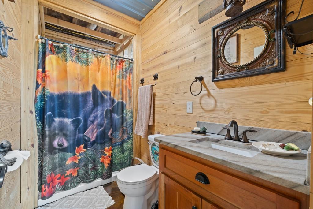 1688 Mulberry Circle Jasper, GA 30143 - Photo 42 of 90 a bathroom with a granite countertop sink mirror vanity and toilet