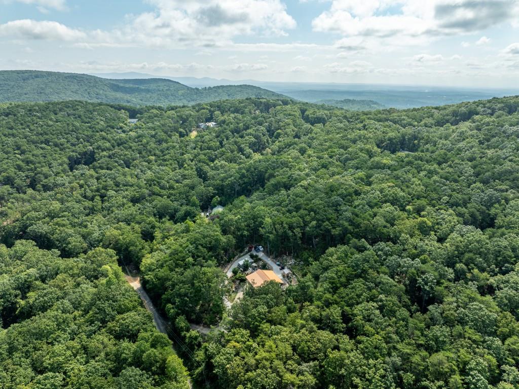 1688 Mulberry Circle Jasper, GA 30143 - Photo 68 of 90