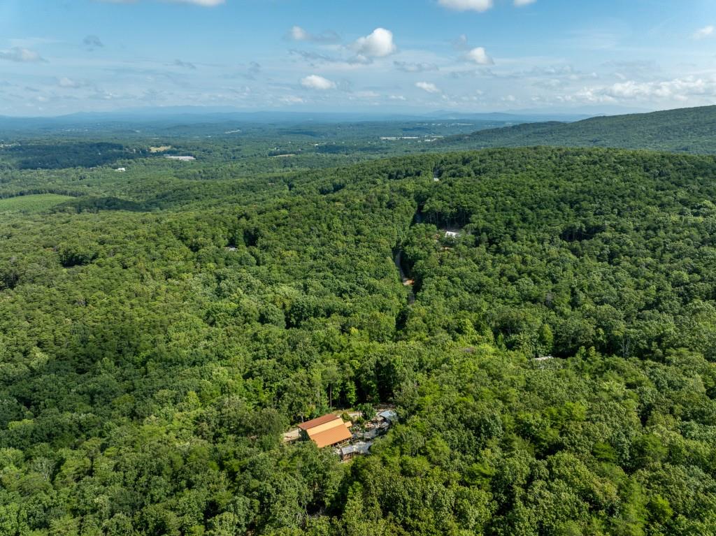 1688 Mulberry Circle Jasper, GA 30143 - Photo 69 of 90 a view of a green field with lots of bushes