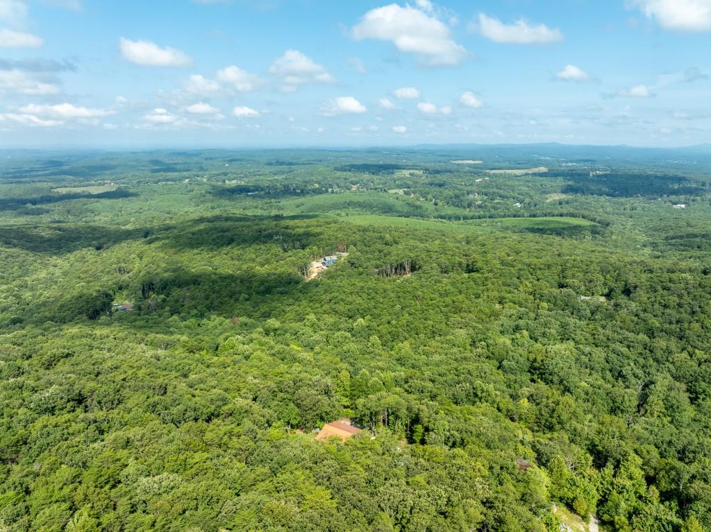 1688 Mulberry Circle Jasper, GA 30143 - Photo 70 of 90