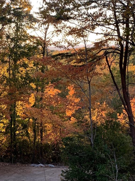 1688 Mulberry Circle Jasper, GA 30143 - Photo 75 of 90