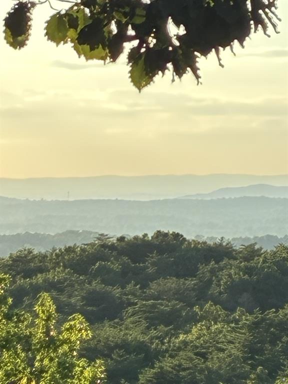 1688 Mulberry Circle Jasper, GA 30143 - Photo 77 of 90 a view of city and mountain