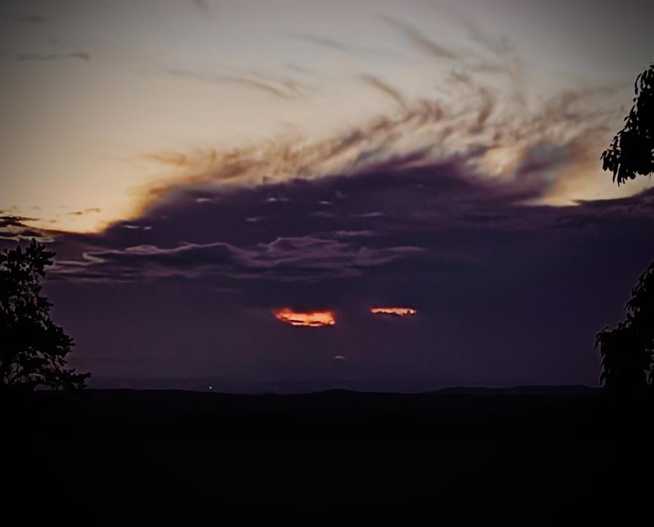 1688 Mulberry Circle Jasper, GA 30143 - Photo 82 of 90