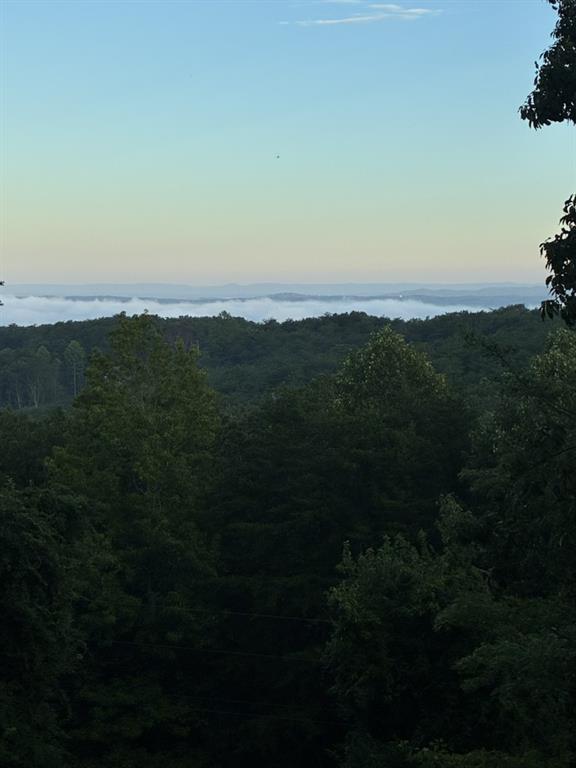 1688 Mulberry Circle Jasper, GA 30143 - Photo 83 of 90