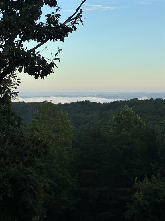 1688 Mulberry Circle Jasper, GA 30143 - Photo 84 of 90