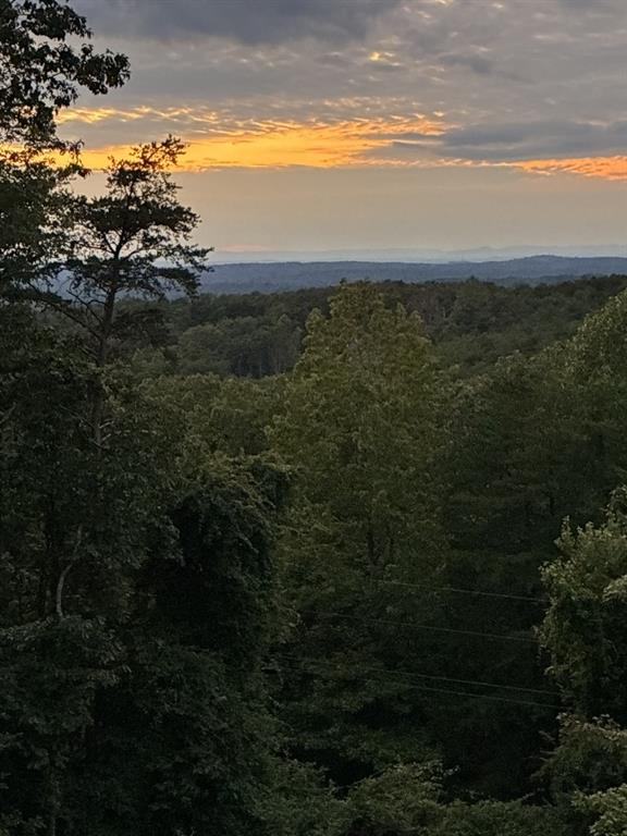 1688 Mulberry Circle Jasper, GA 30143 - Photo 85 of 90 a view of ocean view with beach